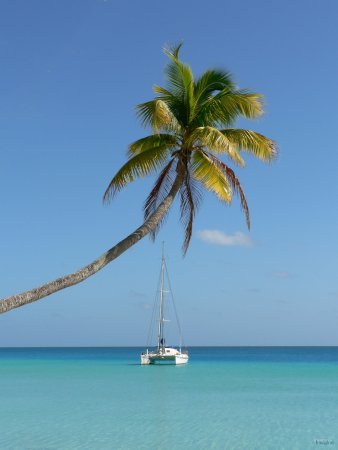 72- Imagine sous le cocotier 